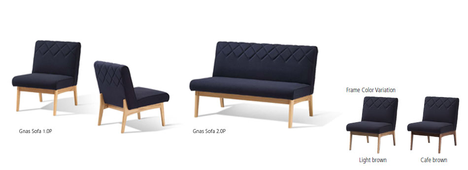 GNAS SOFA 2.0P